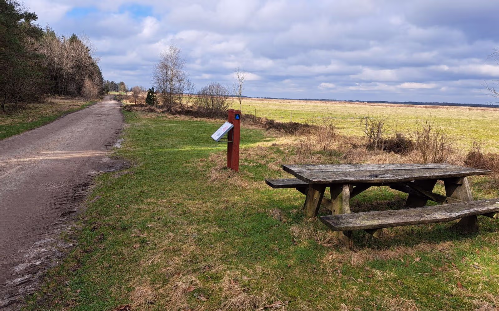 Blå rute på Randbøl Hede