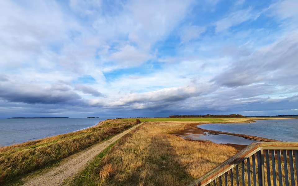 Sti langs vandet ved Gyldensteen Strand med rørskov og dramatisk skyhimmel