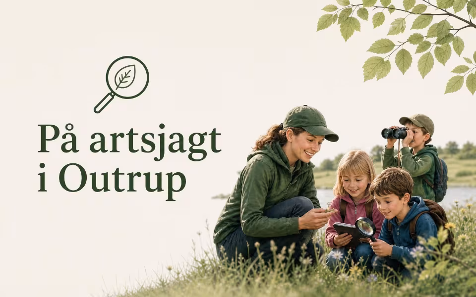 På artsjagt i Outrup