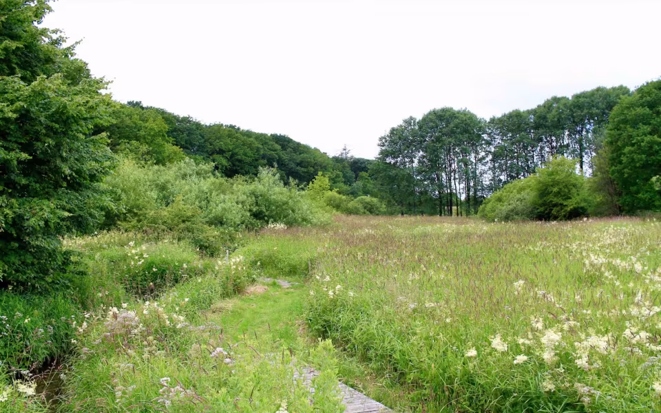 Hornes Vikingelund et paradis
