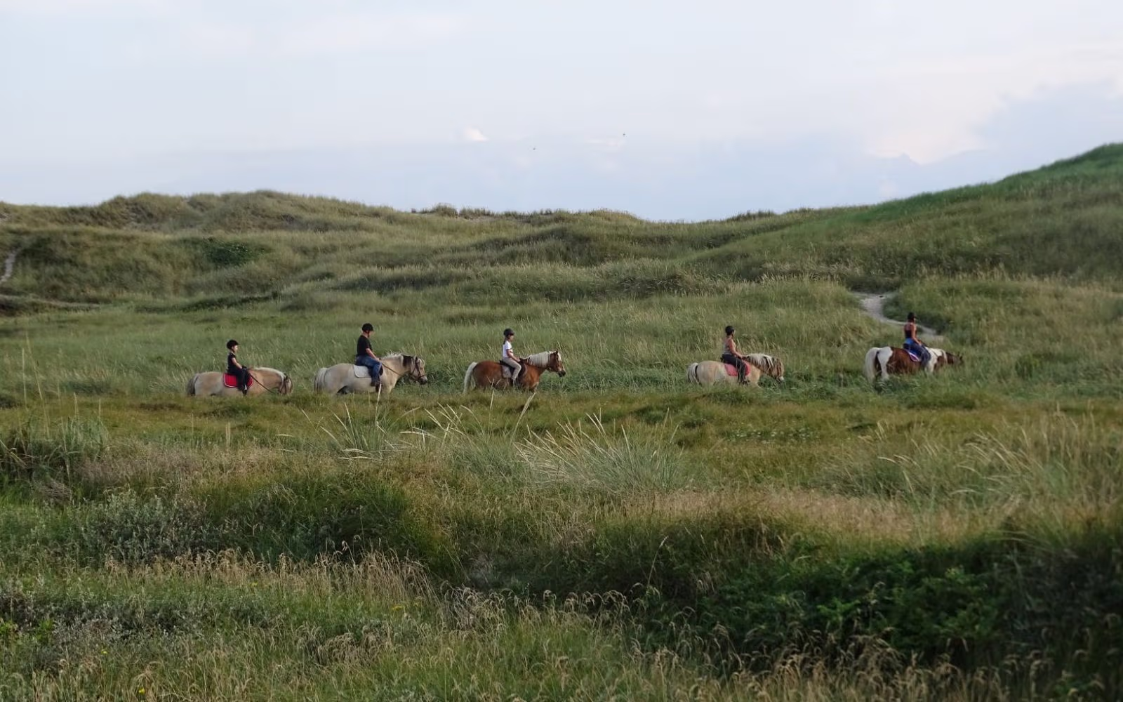 Ridestier Vejers