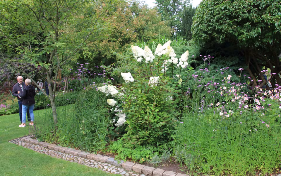 Stemnings billeder Varde Å Dag