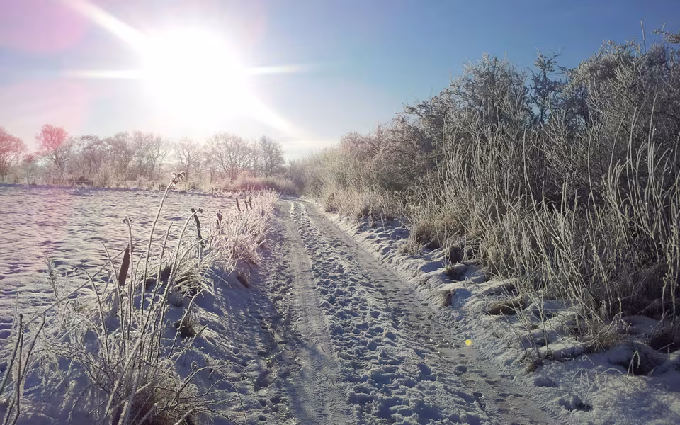Frostbilleder