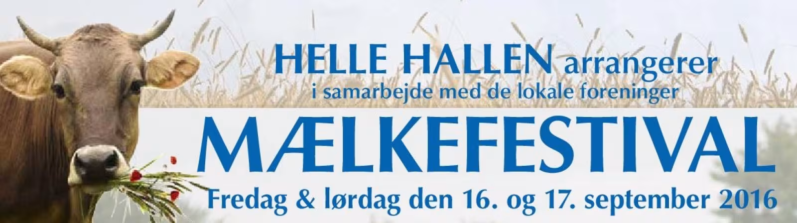 Mælkefestival