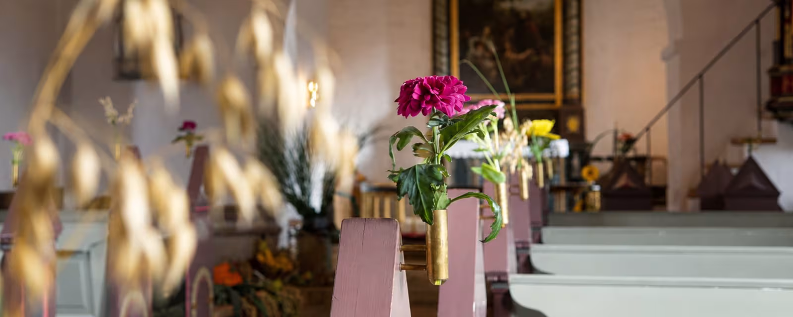 Kornneg, blomster og efterårsfarver pynter Ansager Kirke til høstgudstjenesten søndag 6. september klokken 10.30.