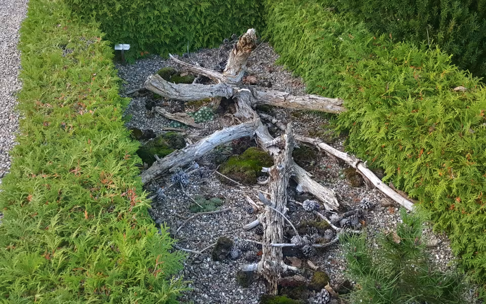 En ændret begravelseskultur med færre kister og flere urner betyder mindre pladsbehov. På Nr. Omme kirkegård er der etableret en sansehave for de levende på de ubenyttede grave. Alternativet til sansehaven ville være tomme gravsteder med græs, grus eller jord. Med sansehaven er kirkegården meget mere spændende at besøge.