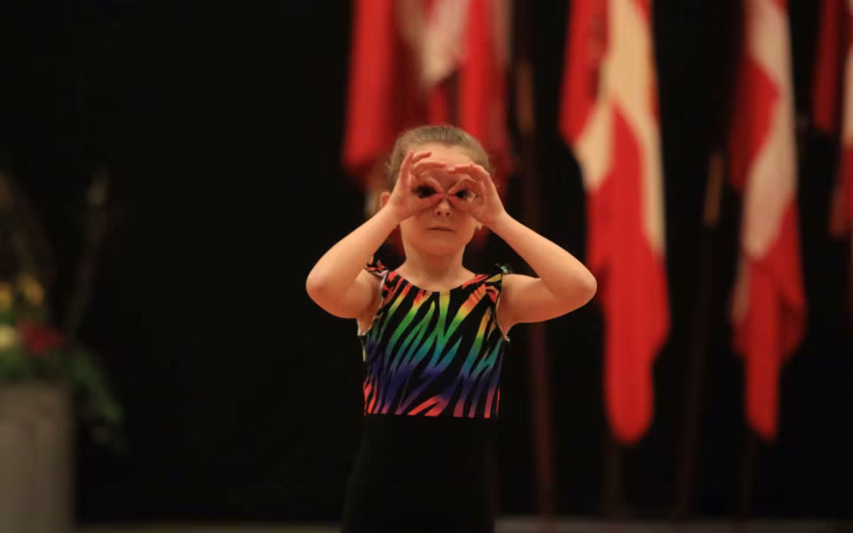 Stor succes ved DGI's opvisning