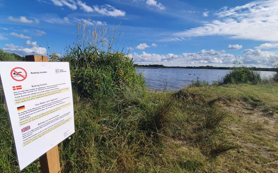 Citat: Kvie Sø`s forurening er stadig uløst, men forvaltningen forventer at der åbnes for badning i 2022. Havde problemet været ved Nysø var problemet nok løst for længst.