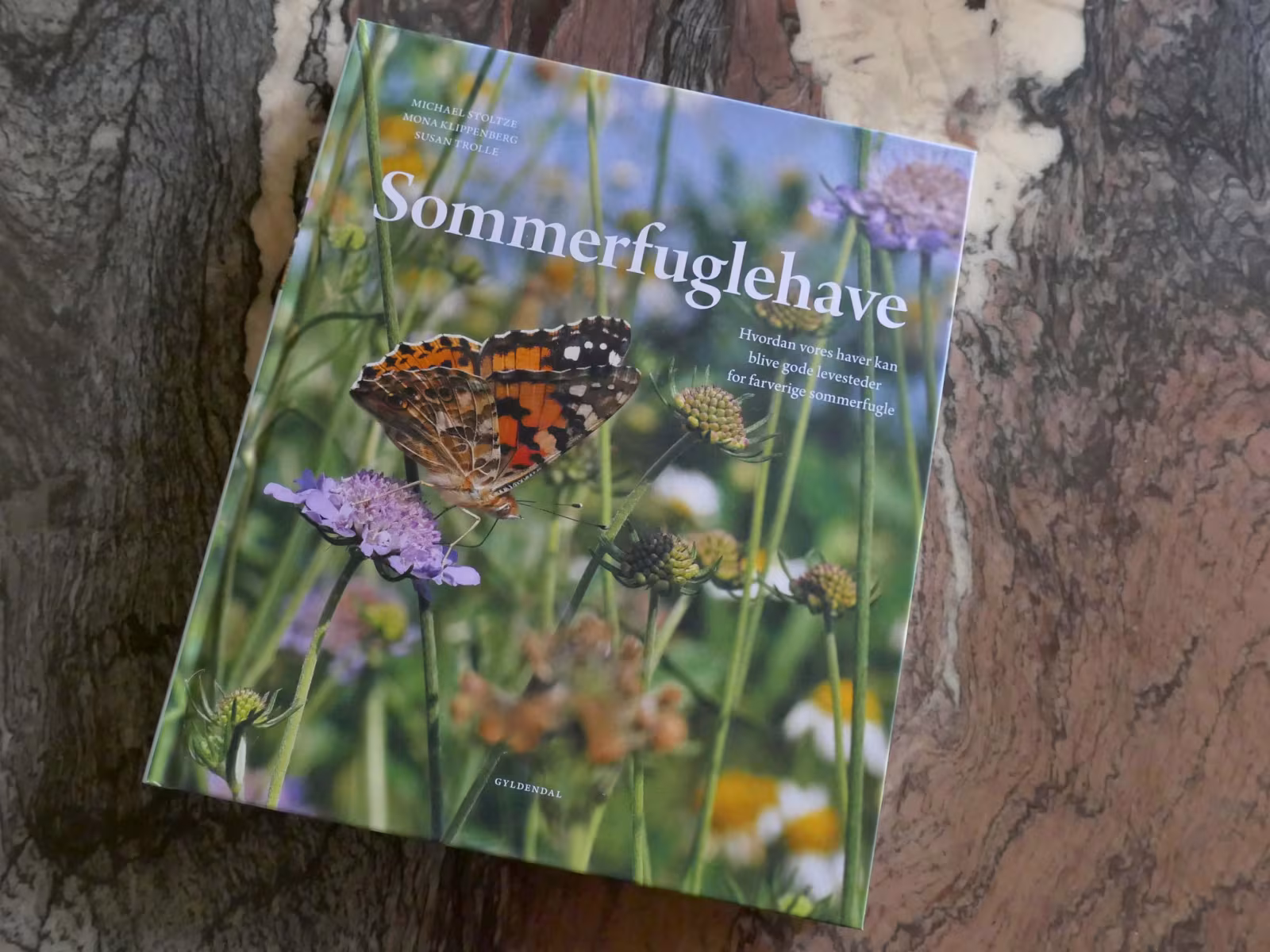 Ønsker du at skabe gode livsbetingelser for sommerfugle i din have? Mange sommerfuglearter har det vanskeligt i den danske natur, og de behøver al den hjælp, de kan få for at overleve. Få inspiration til at skabe gode livsbetingelser i din egen have.