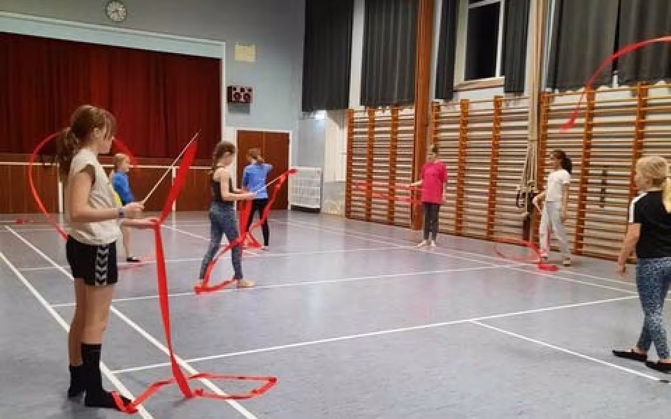 Springnat på Ansager skole