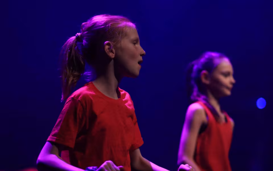 Dance Company Twenty Juleshow begejstrede 1200 publikummer