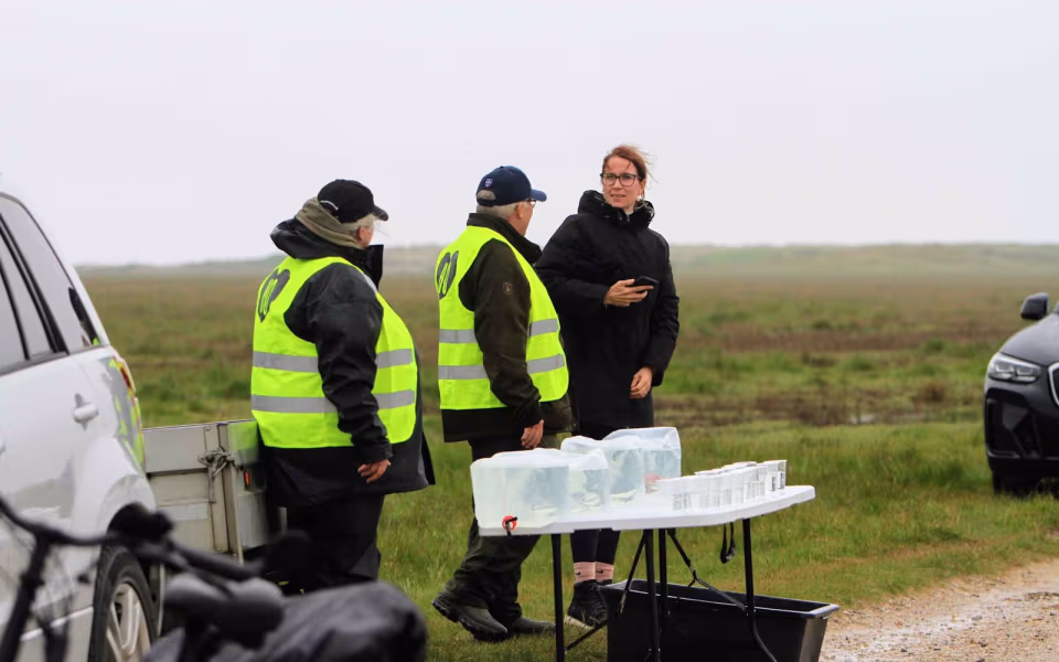 Løbefest trods regn i Ho