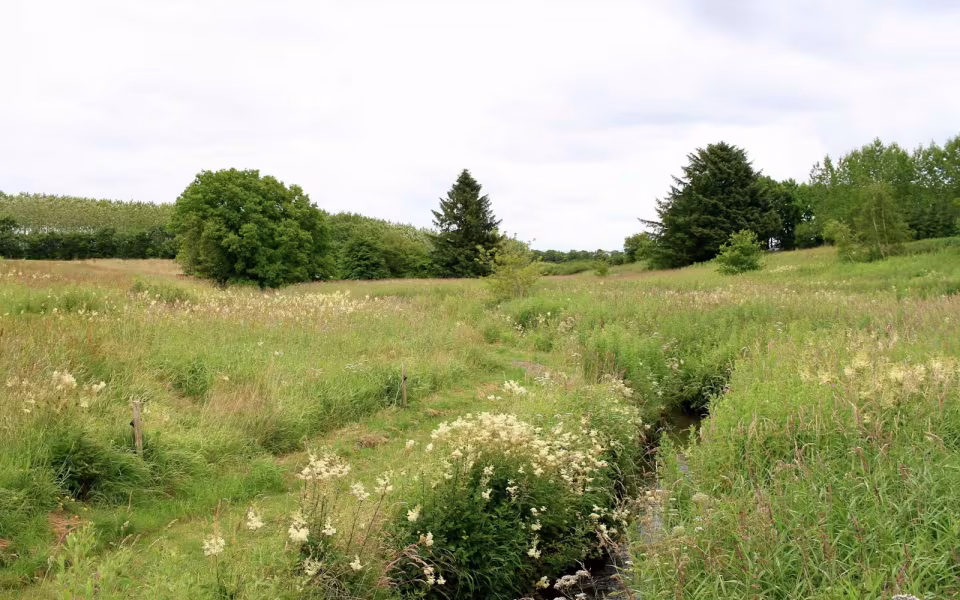 Hornes Vikingelund et paradis