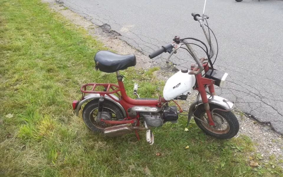 Billeder fra Varde Å dag i Hodde den 18-8-2019