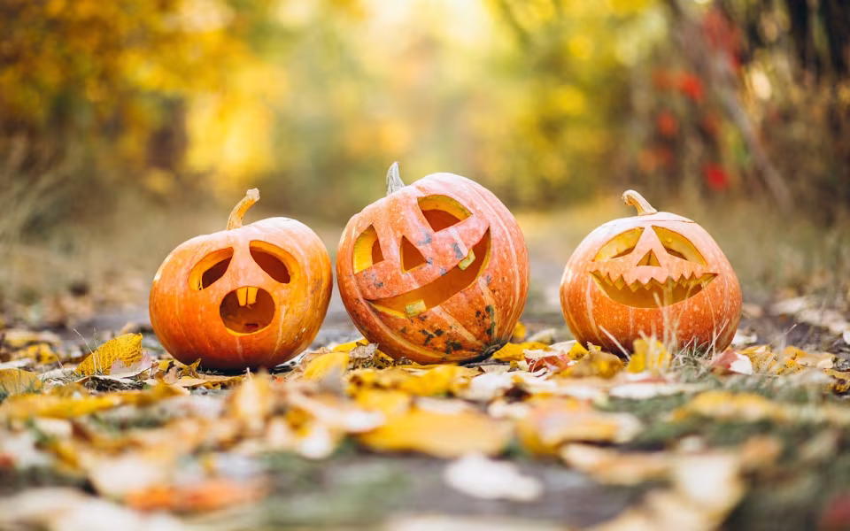 30 okt: Halloweenfest