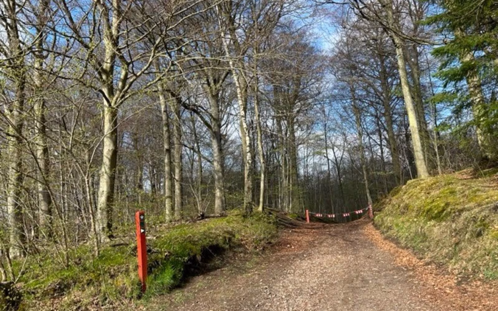 Nødebo Holt