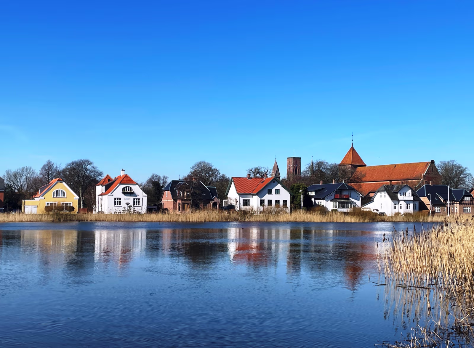 Rundvisning i Ribe 12. juni