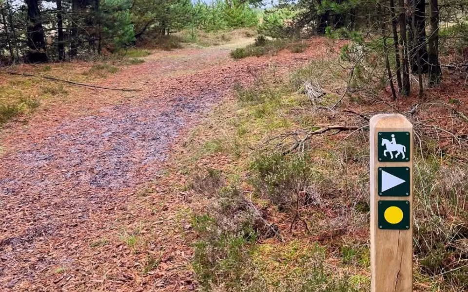 Foto: Naturpark Vesterhavet