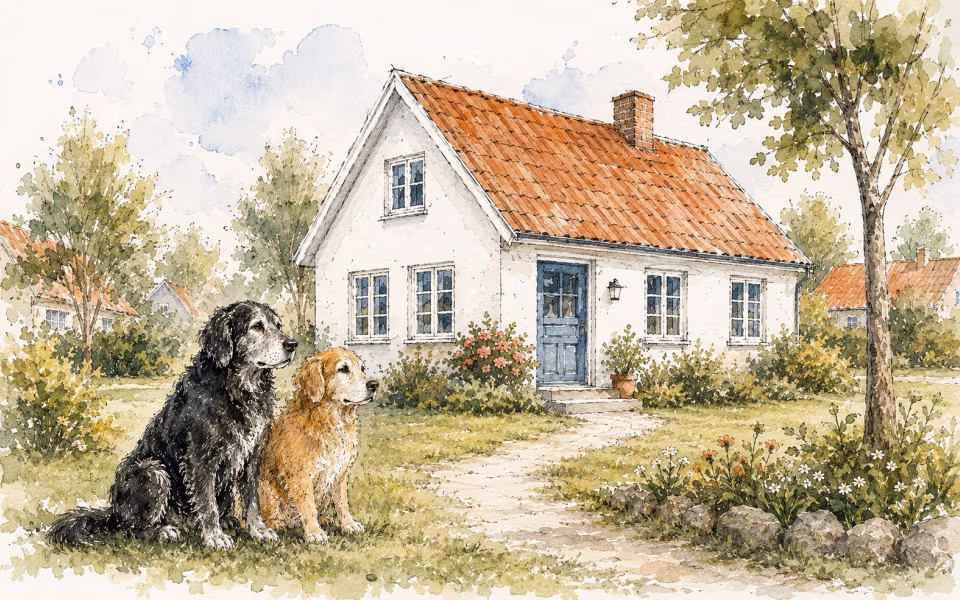 Familie med to ældre hunde søger bolig i Ansager