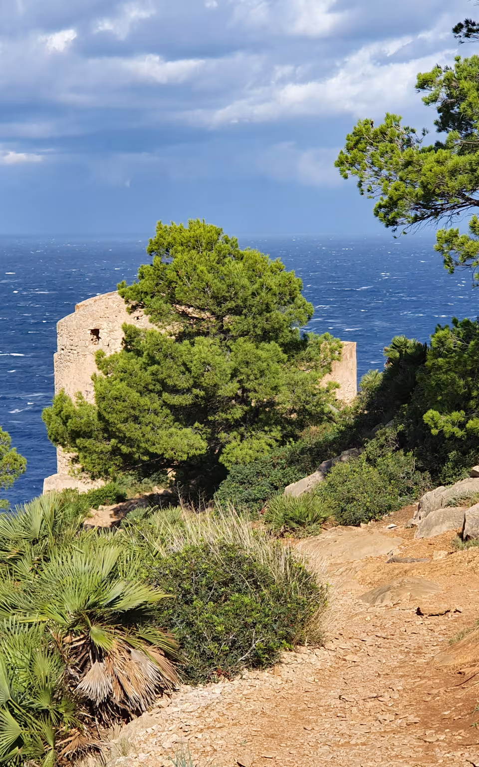 Torre de Cala en Basset delvist skjult af fyrretræer med blåt hav bagved