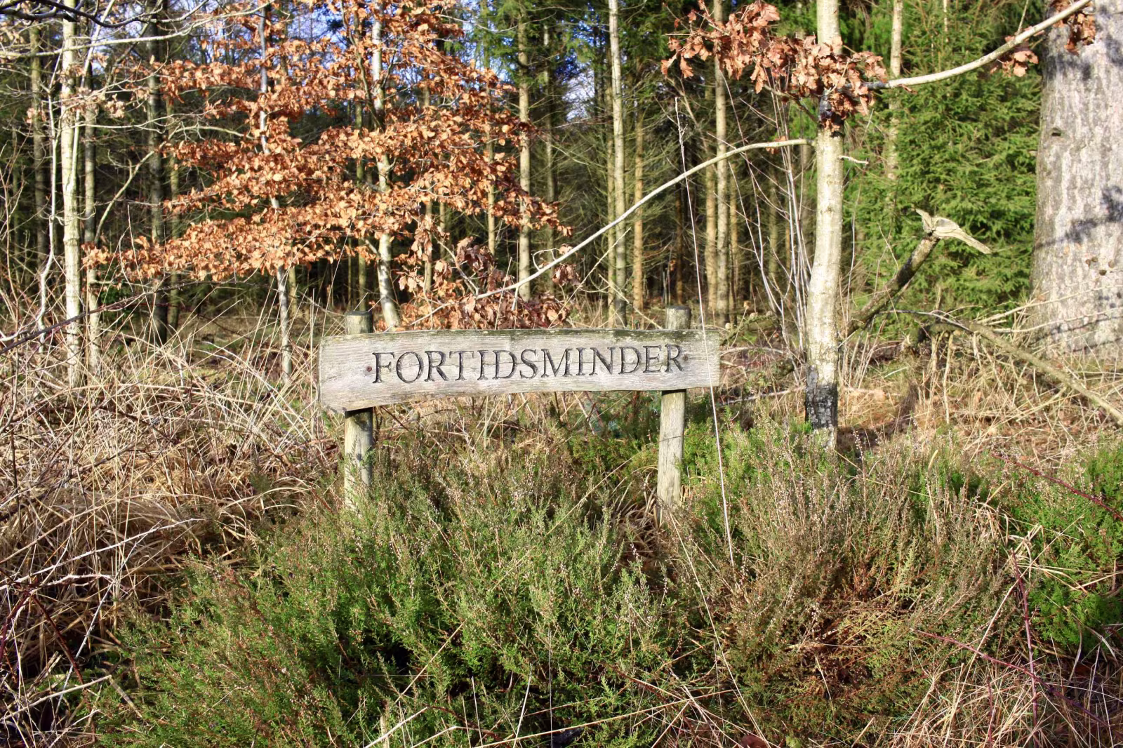 Vandreoplevelse i Orten Plantage