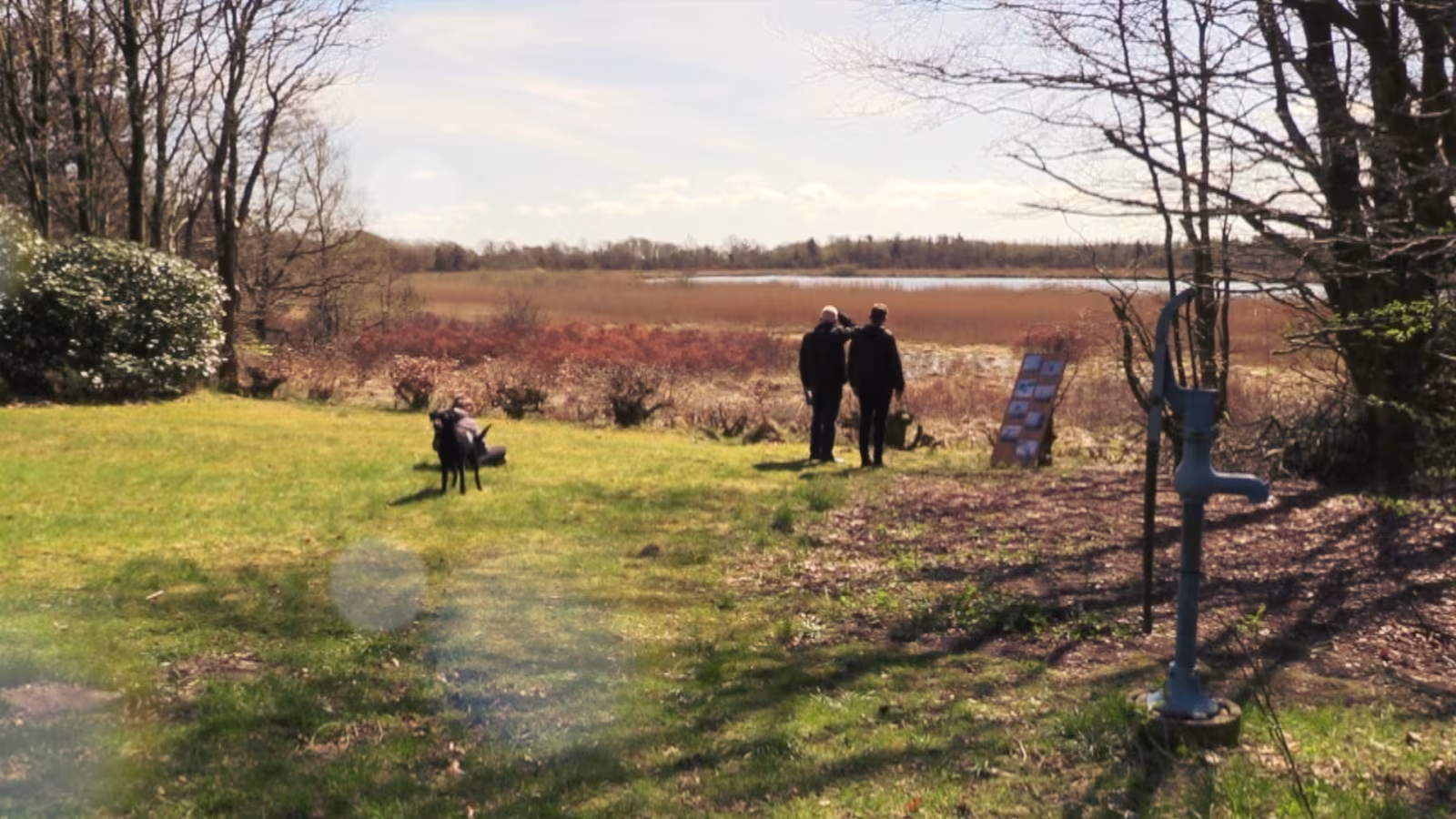 Skovens dag 2018