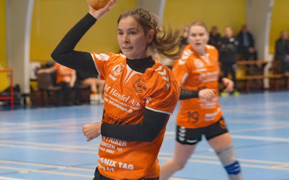 SAHK mod NSK