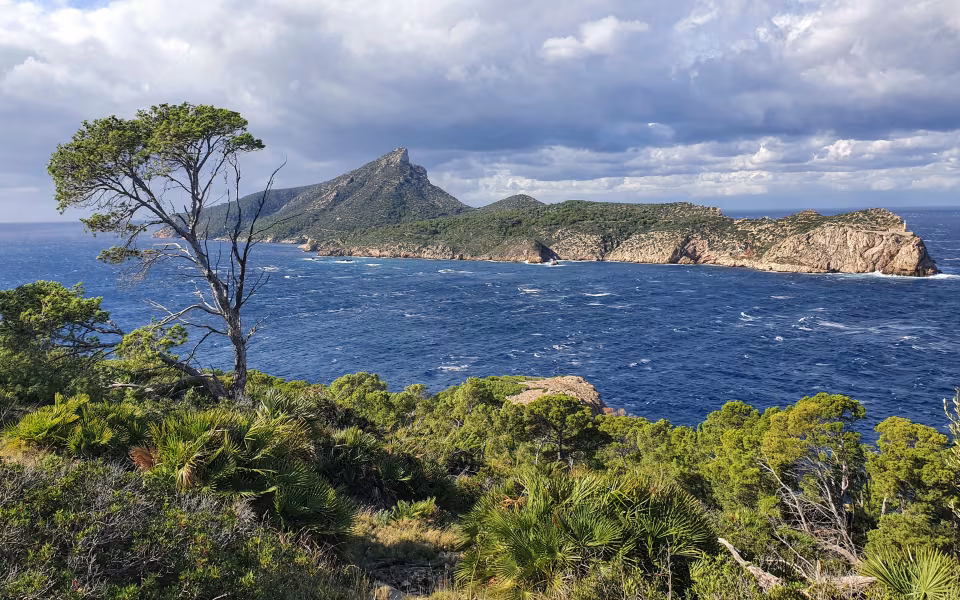 Klippekyst og blåt hav ved Naturpark Sa Dragonera med fyr og forblæst fyrretræ