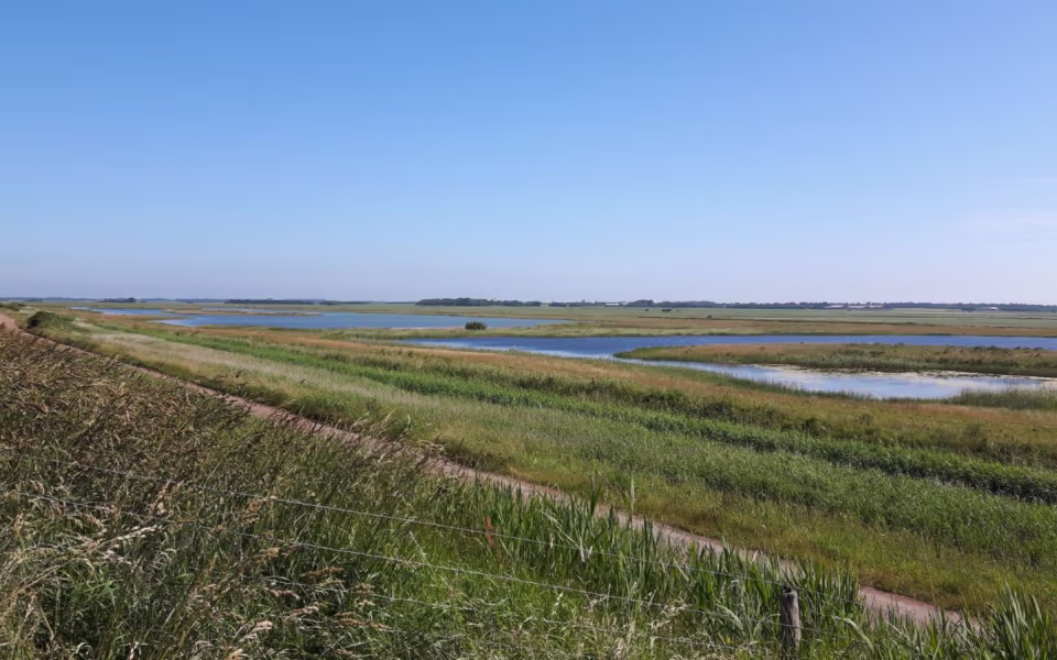 Fløjdiget