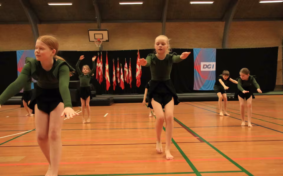 Stor succes ved DGI's opvisning