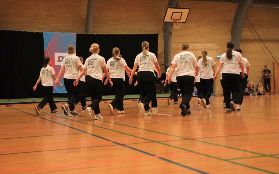 Stor succes ved DGI's opvisning