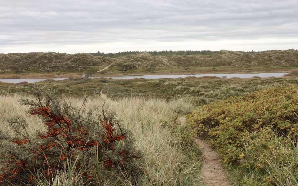 På vandring gennem sandets historie