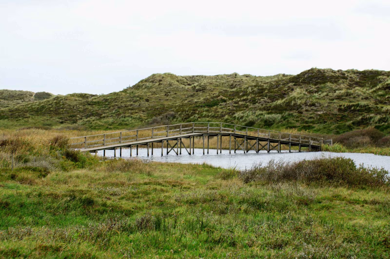 Vandring, Vesterhav og store vidder – 4 dages vandreferie