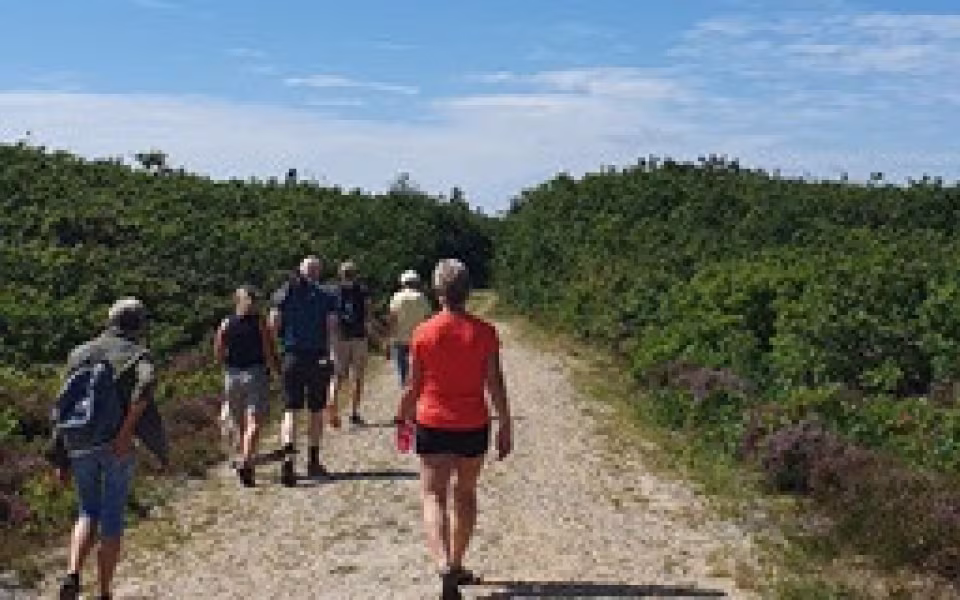 De tilsandede ege - Vild vestjysk natur