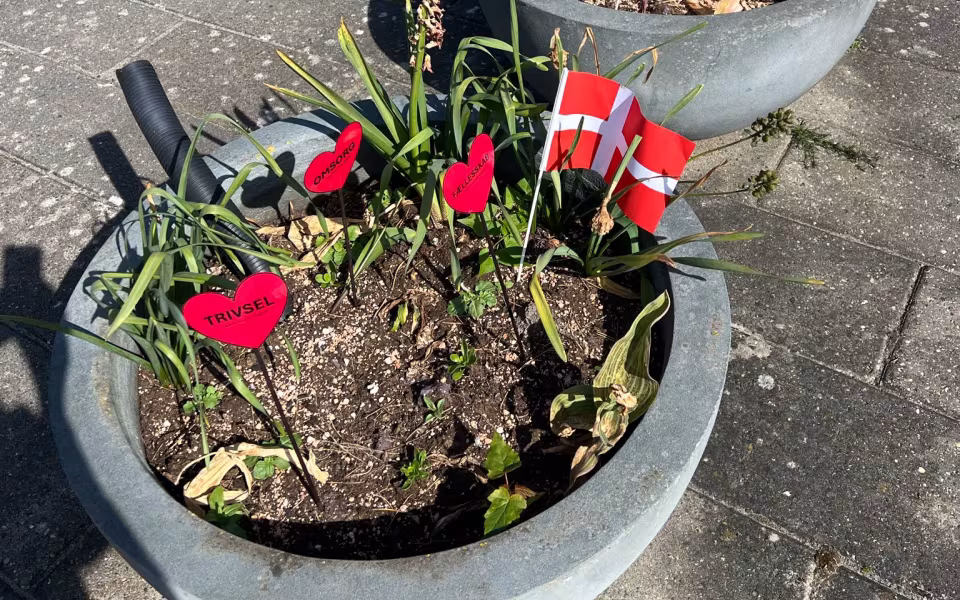 har vi fejret Dagplejernes Dag, som er landsdækkende. Se filmklip og billeder.