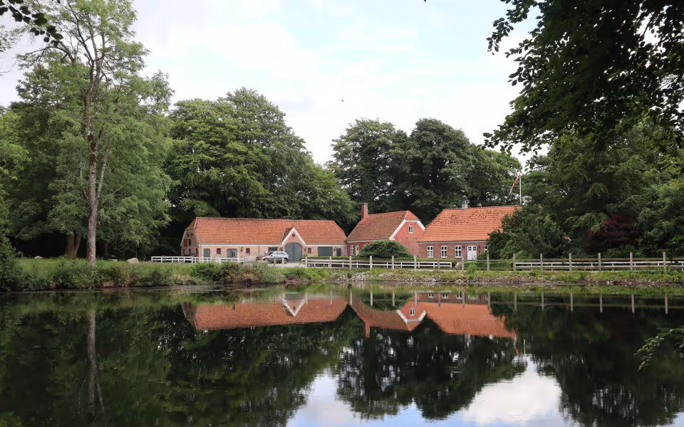 Sankt Hans aften ved Letbæk Sø 2025
