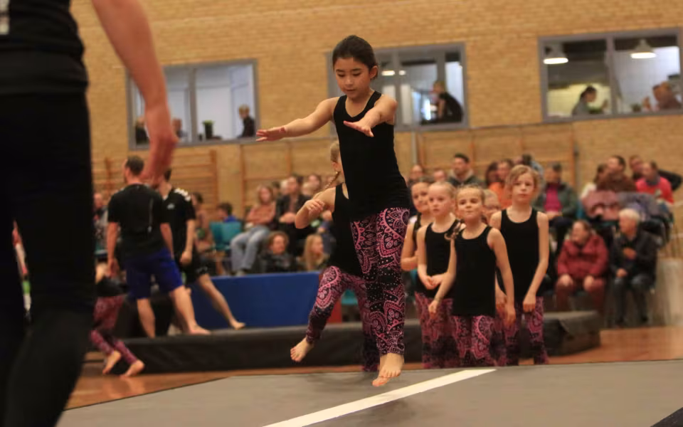 Stor succes ved DGI's opvisning