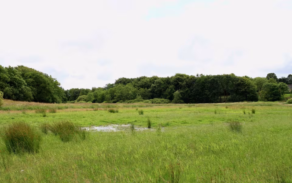 Hornes Vikingelund et paradis