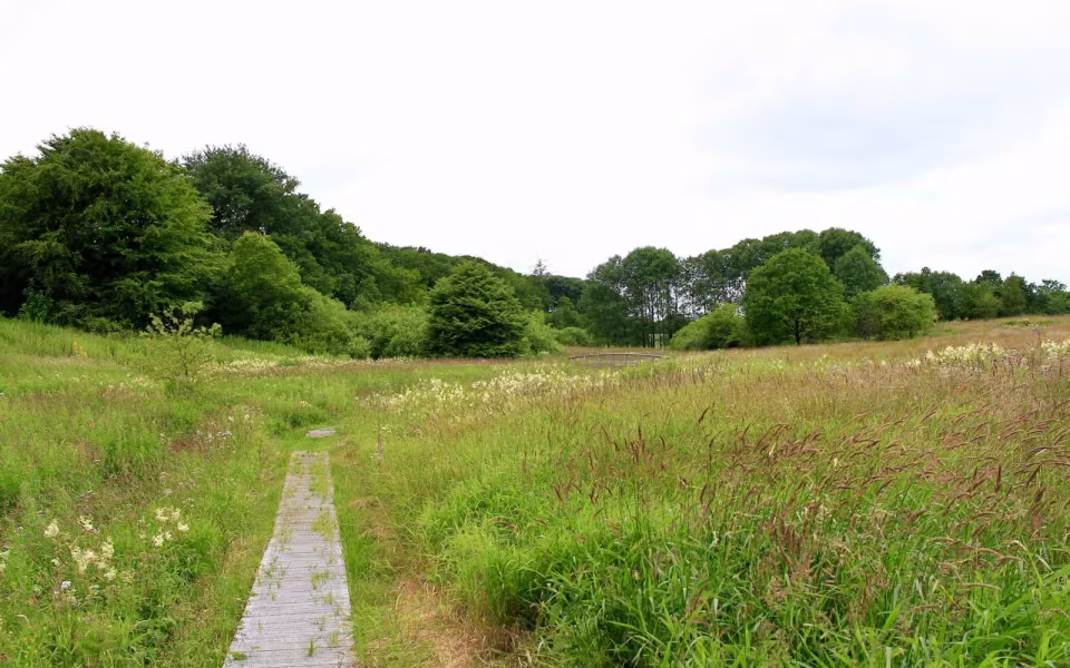 Hornes Vikingelund et paradis