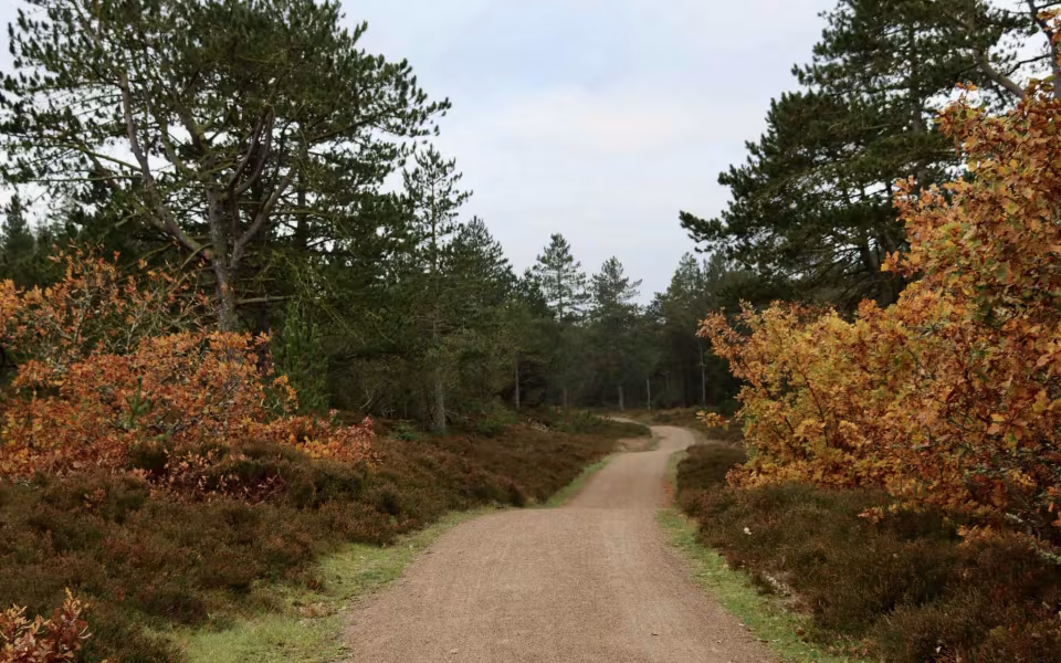 Find morgenroen på Gråmulebjerg