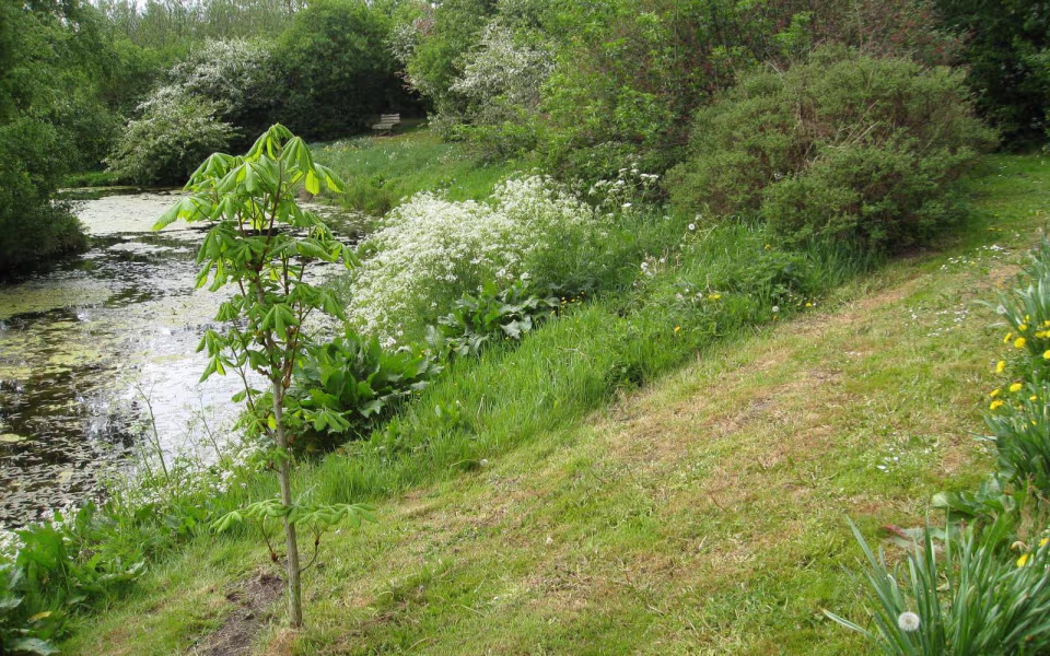 Ølgod - Strellev - Tinghøjene - 20 km