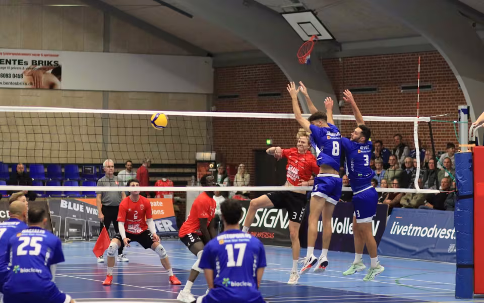 Europæisk volleyball vender tilbage