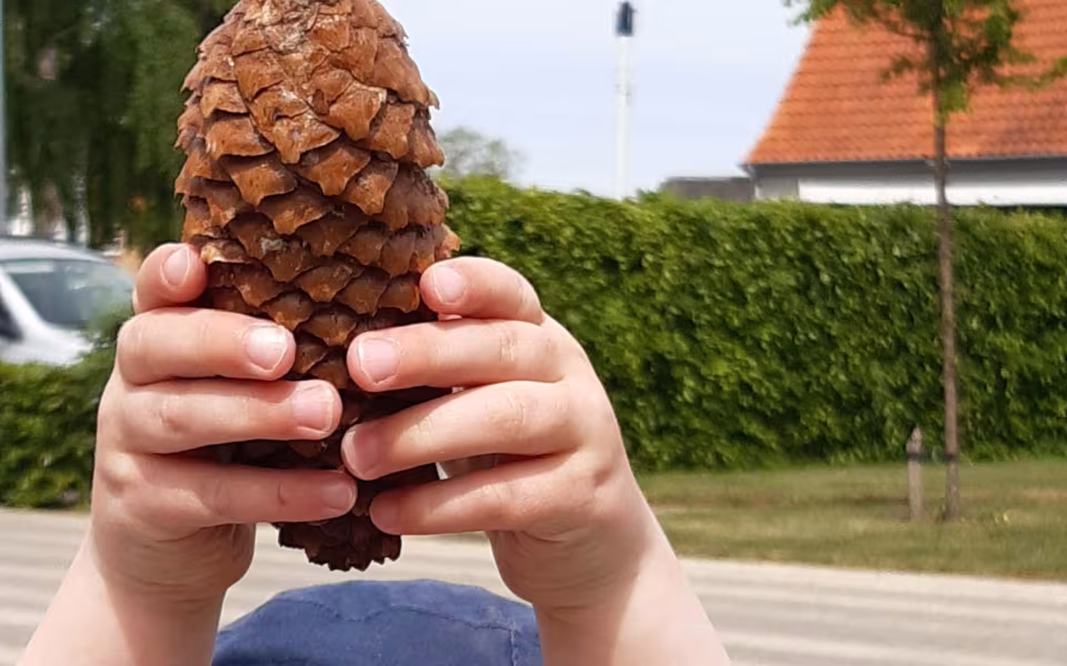 Der bygges insekthoteller