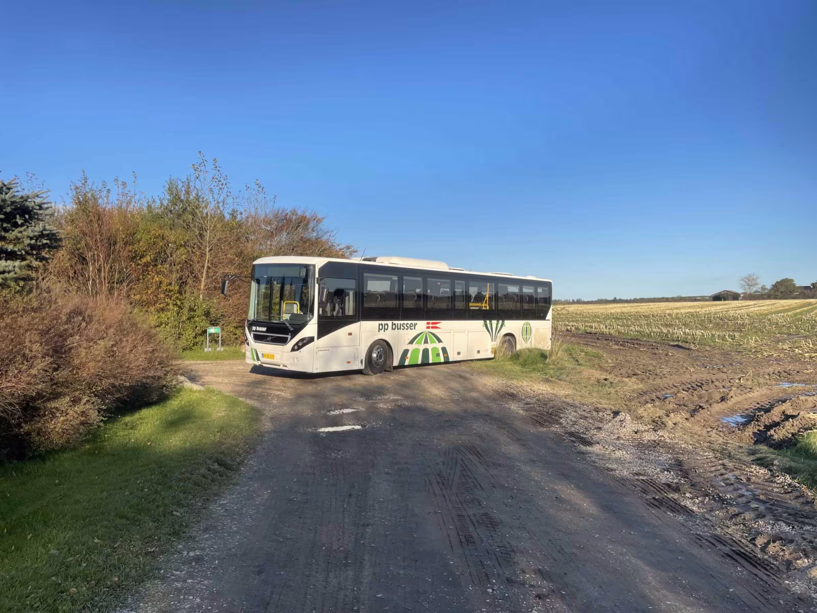 Problemer med Nebel Grisen og togbusserne