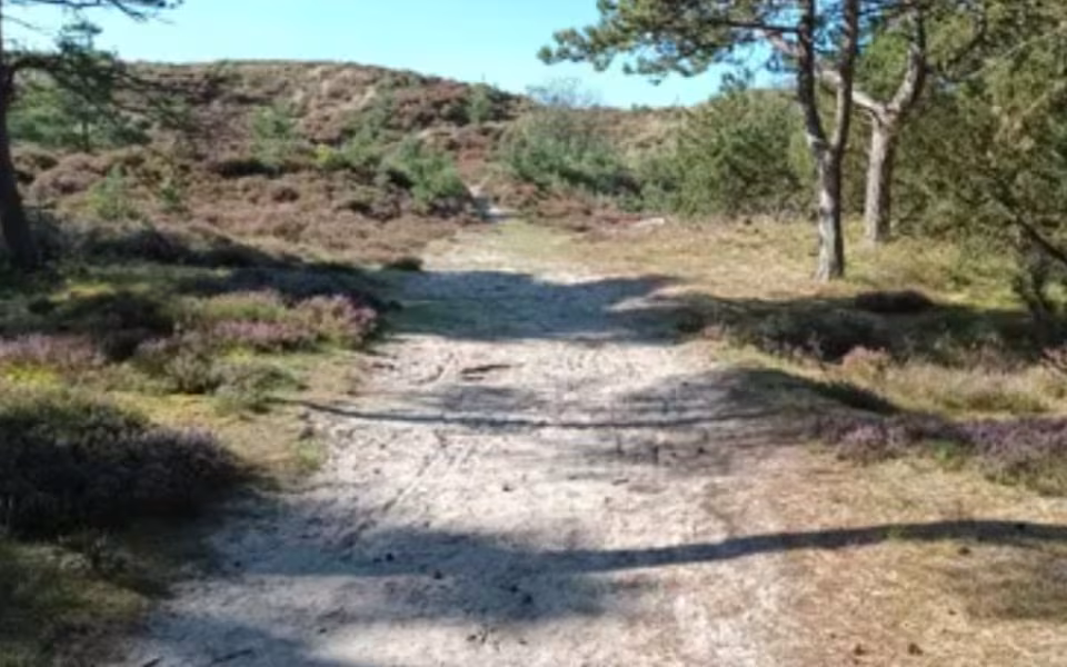 Ho Plantage fastholder fokus på stier og faciliteter