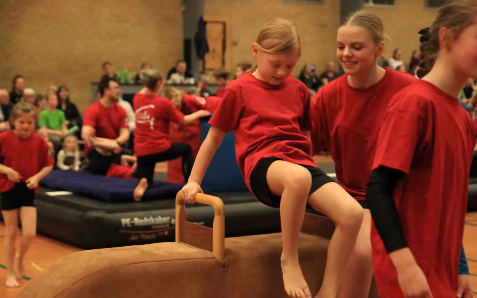 Stor succes ved DGI's opvisning