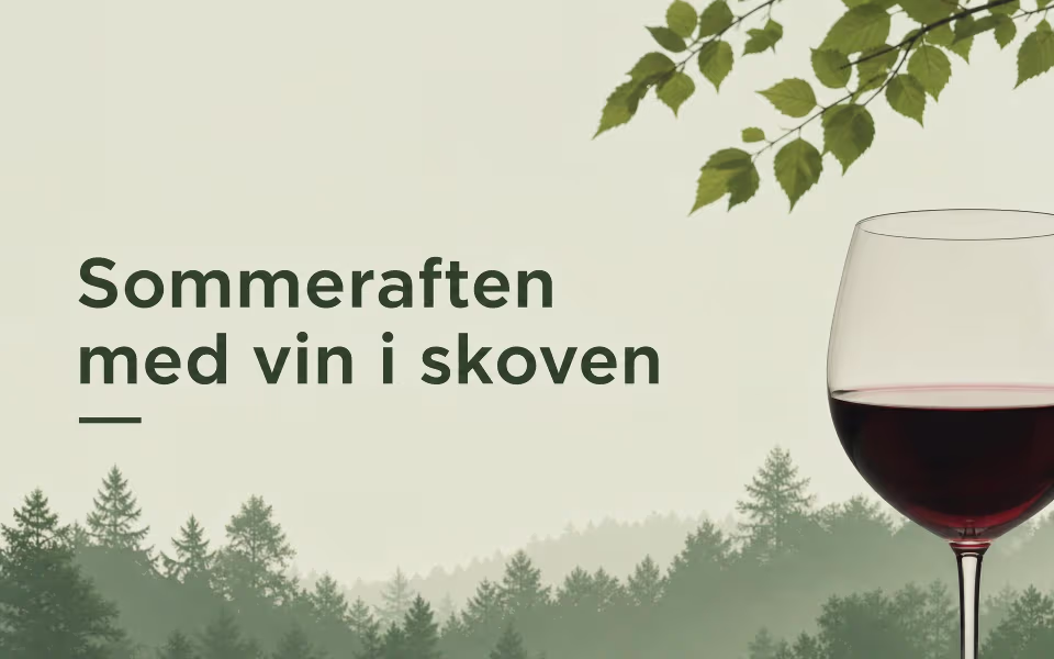 Sommeraften med vin i skoven