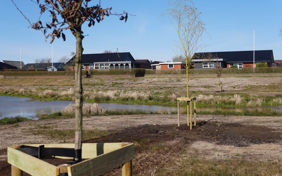 Træer plantet i Ansager Søpark