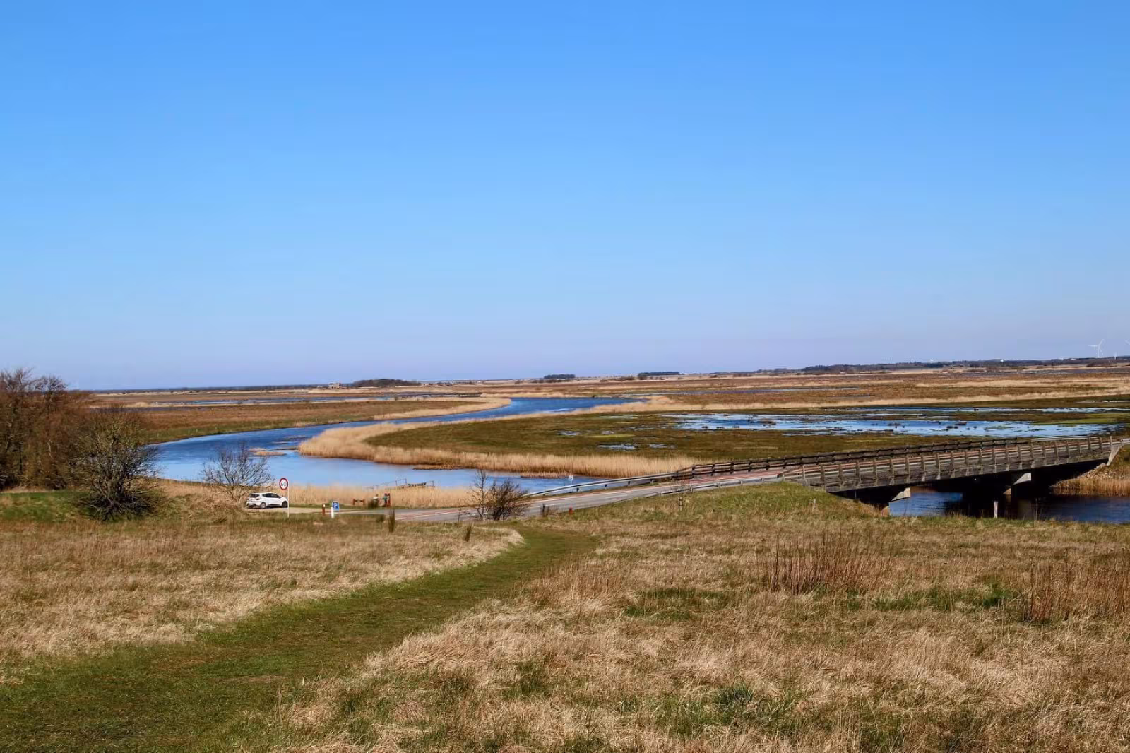 Naturvejleder udforsker Vardes og Ringkøbing- Skjern`s skjulte skønhed