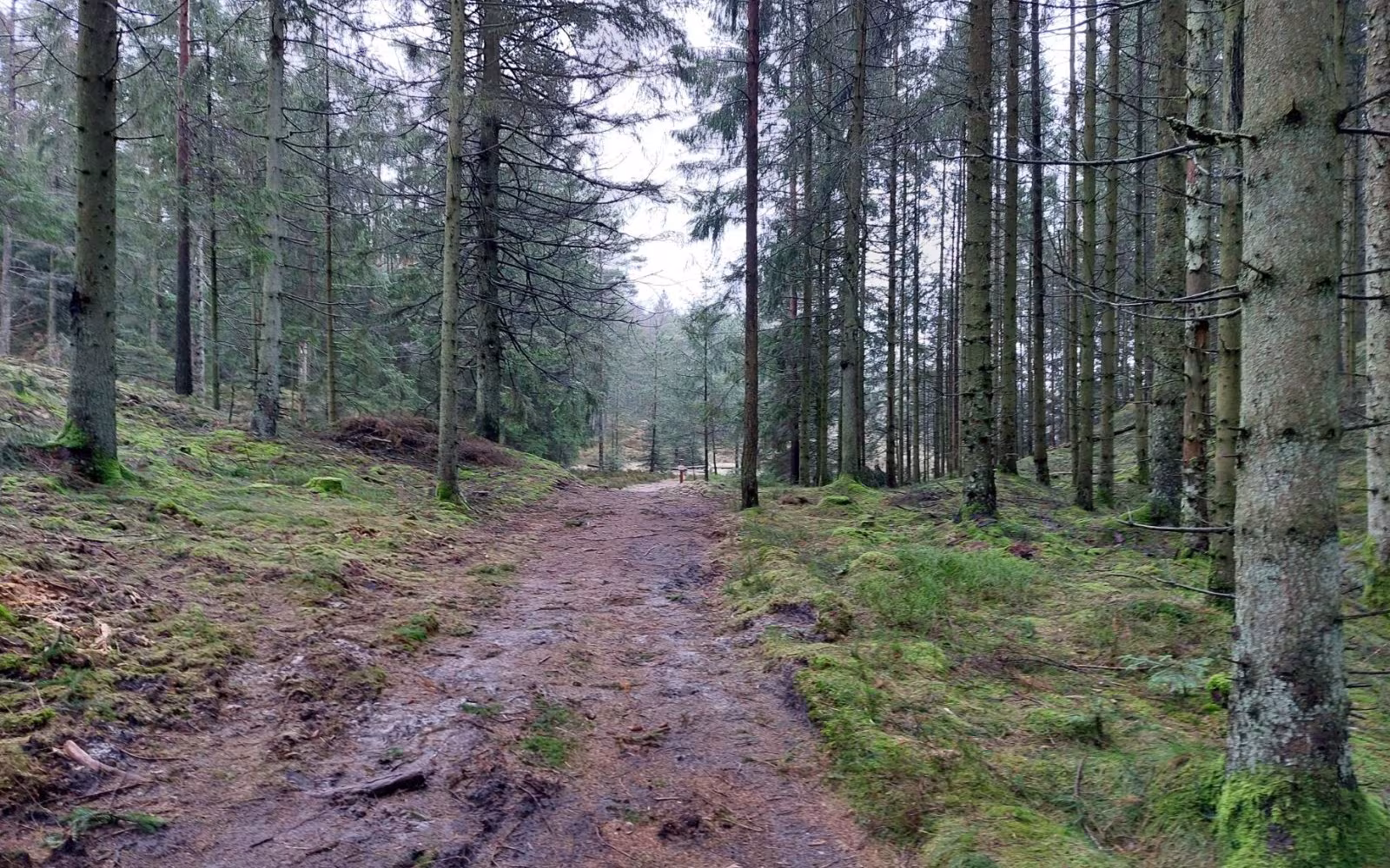 Hvid rute til primitiv overnatningsplads i Hestedalen